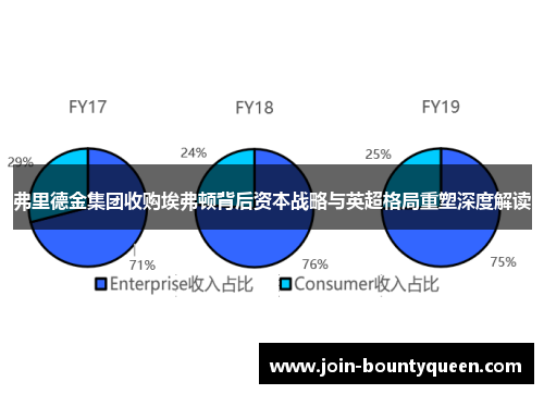 弗里德金集团收购埃弗顿背后资本战略与英超格局重塑深度解读 弗里德金集团收购埃弗顿背后资本战略与英超格局重塑深度解读